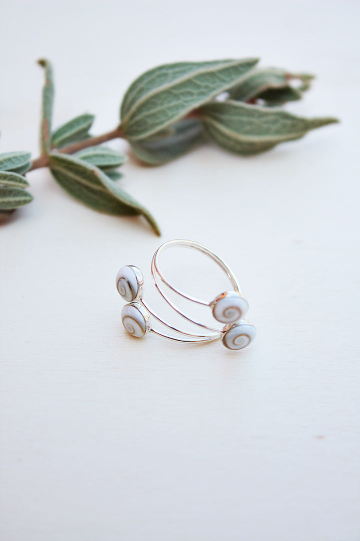 Anillo Pinar