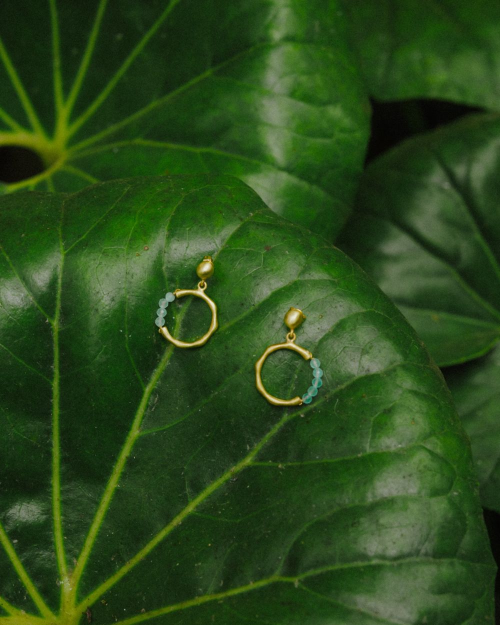 Par de pendientes dorados con aro irregular y cuentas en piedras semipreciosas Aqua Calcedonia apoyados sobre unas hojas grandes y verdes.