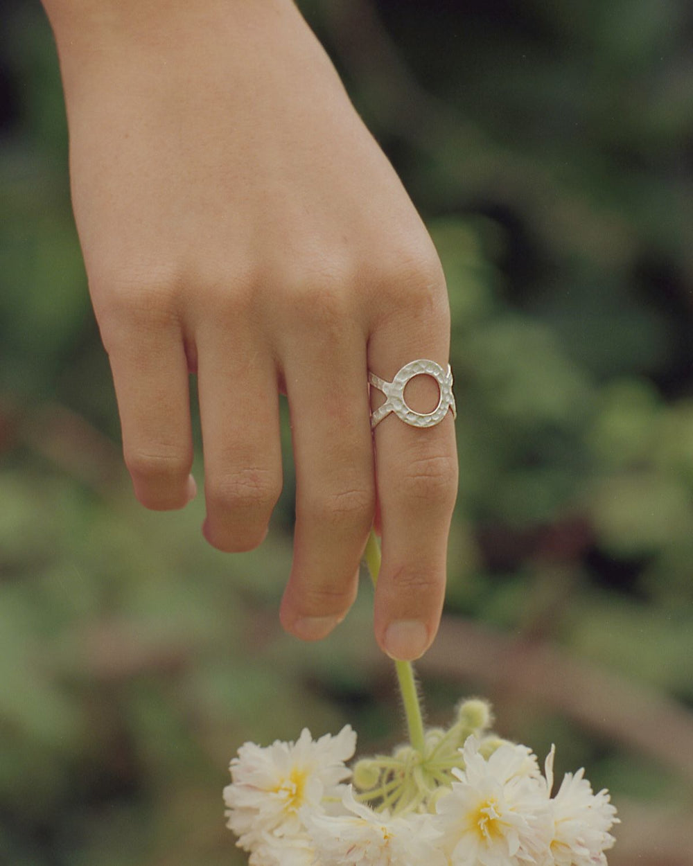 lotus-silver